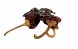 ANCHO DRIED CHILI PODS