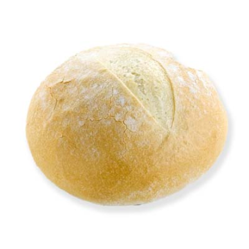 2465_crop_lr.jpg