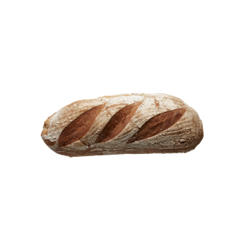 Desem-vloer-Brood-Desem-VLbr-wit-632x506.jpg