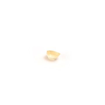 50040-50043-50044-_0000_50040.jpg
