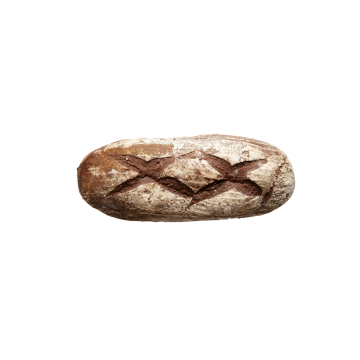 101713.jpg