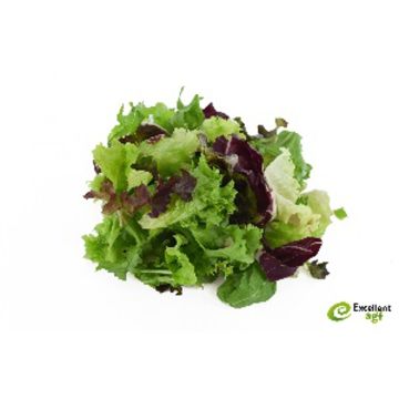 SLAMIX RUCOLA 17MM (dagprijs)
