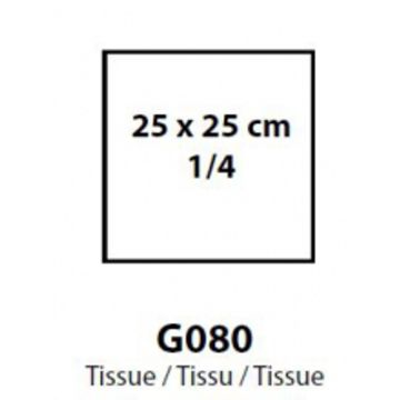 304450024.jpg
