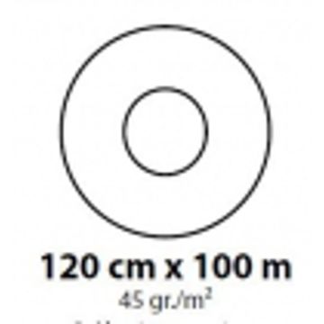 304450038.jpg