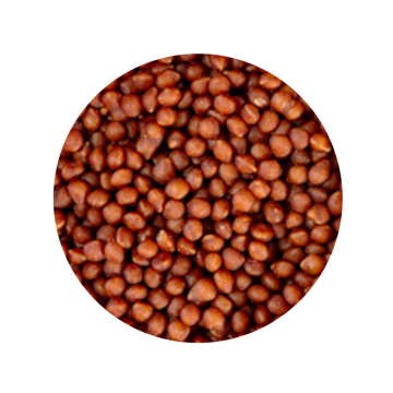 cola.png