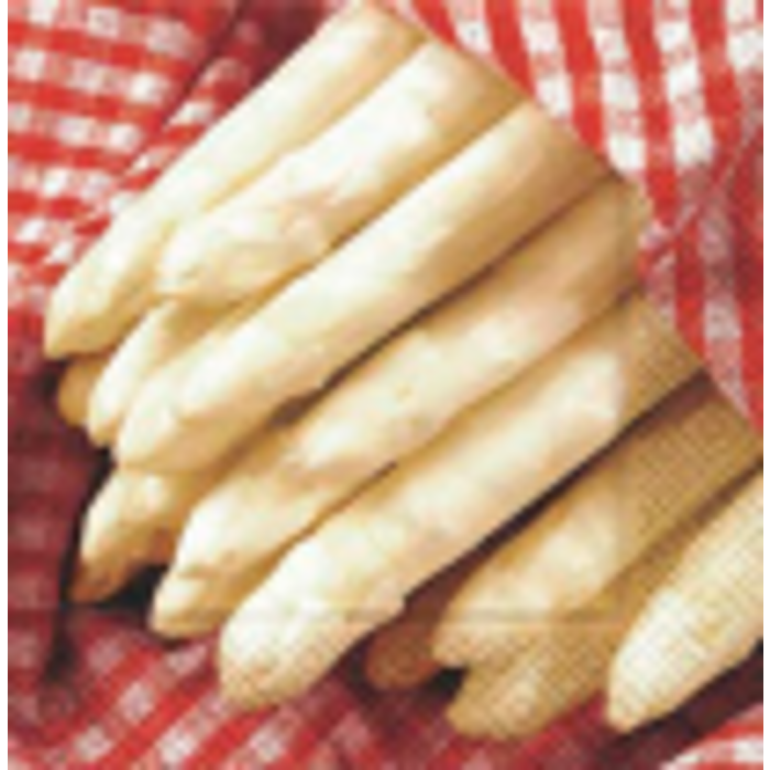 0519191855-354-308964.png
