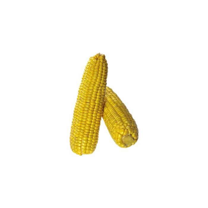 103693.jpg