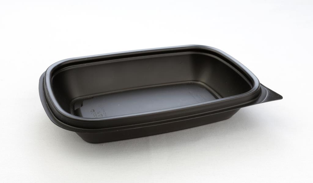 FASTPAC RECTANGULAR CONTAINERS 375ML 20X13X4